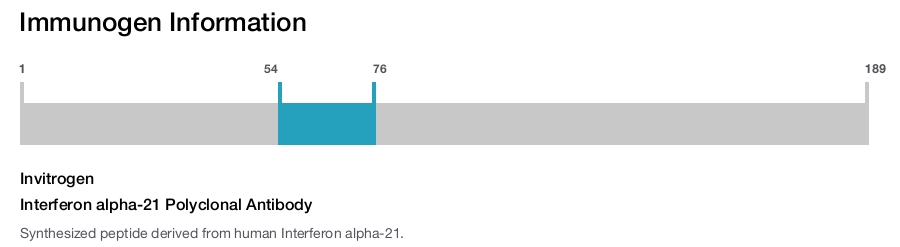 Interferon alpha-21 Polyclonal Antibody