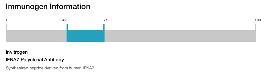 IFNA7 Polyclonal Antibody