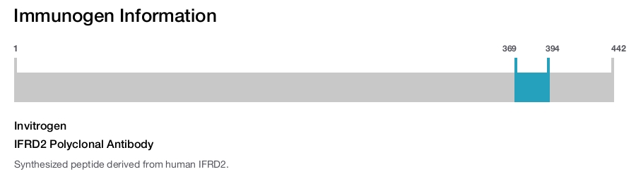 IFRD2 Polyclonal Antibody