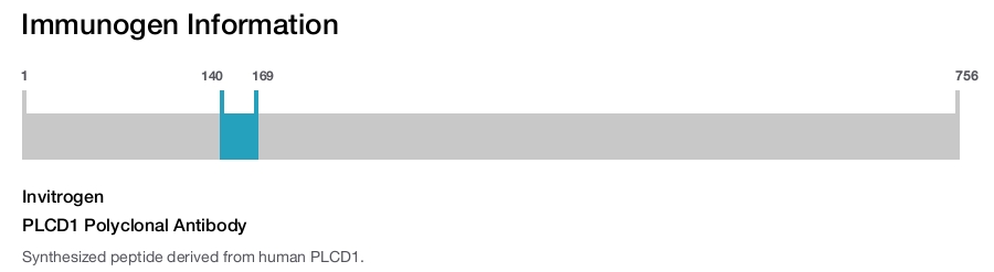 PLCD1 Polyclonal Antibody