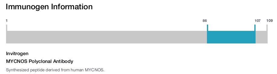 MYCNOS Polyclonal Antibody