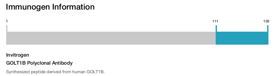GOLT1B Polyclonal Antibody