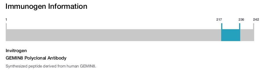 GEMIN8 Polyclonal Antibody