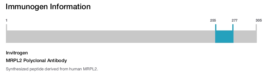 MRPL2 Polyclonal Antibody