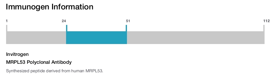MRPL53 Polyclonal Antibody