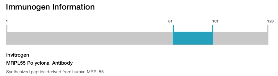 MRPL55 Polyclonal Antibody