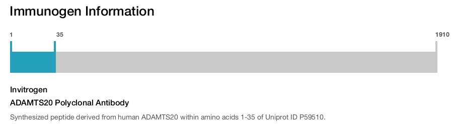 ADAMTS20 Polyclonal Antibody