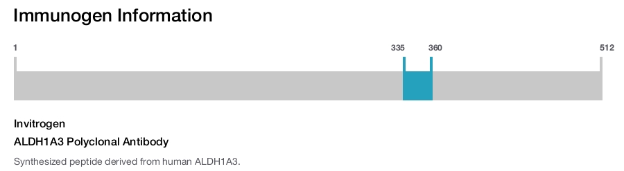 ALDH1A3 Polyclonal Antibody