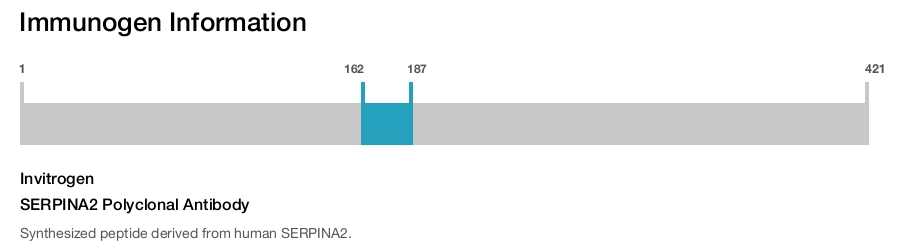 SERPINA2 Polyclonal Antibody