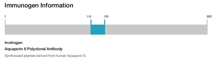 Aquaporin 6 Polyclonal Antibody