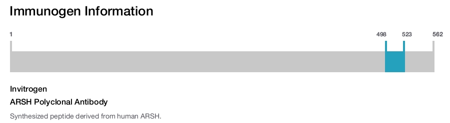 ARSH Polyclonal Antibody