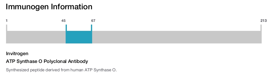 ATP Synthase O Polyclonal Antibody