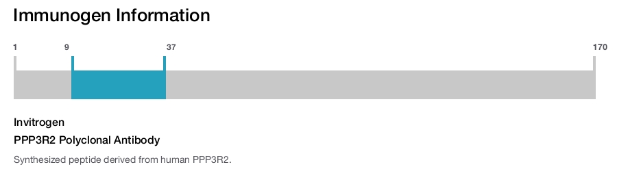 PPP3R2 Polyclonal Antibody