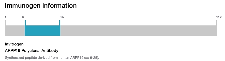 ARPP19 Polyclonal Antibody