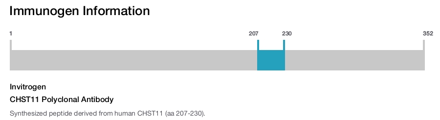CHST11 Polyclonal Antibody