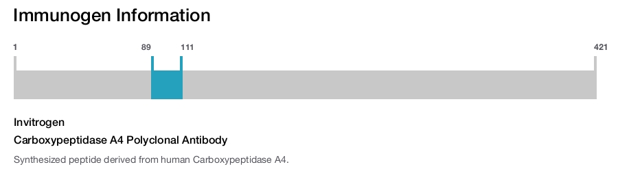 Carboxypeptidase A4 Polyclonal Antibody
