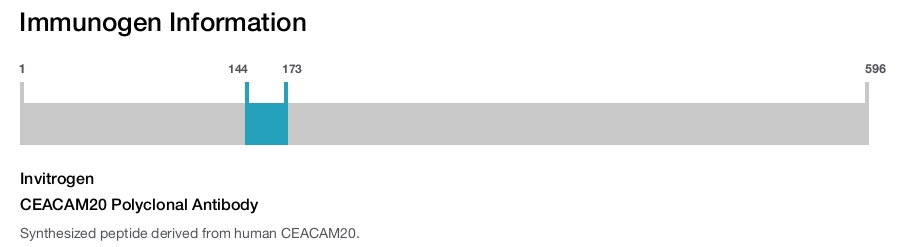 CEACAM20 Polyclonal Antibody