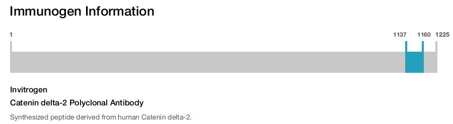 Catenin delta-2 Polyclonal Antibody