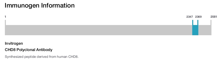 CHD8 Polyclonal Antibody