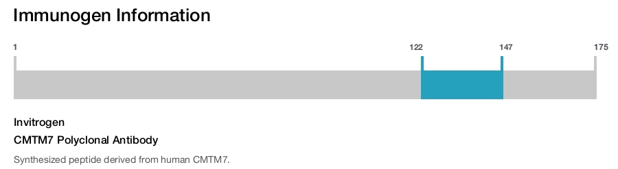 CMTM7 Polyclonal Antibody