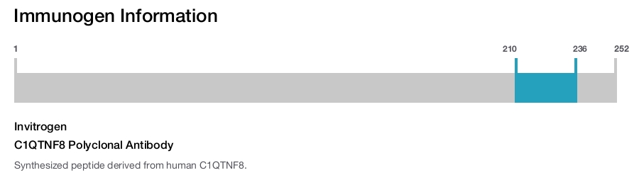 C1QTNF8 Polyclonal Antibody