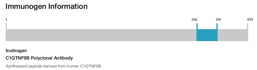 C1QTNF9B Polyclonal Antibody