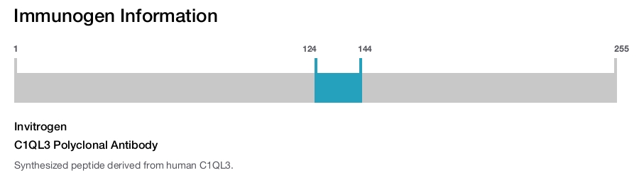 C1QL3 Polyclonal Antibody