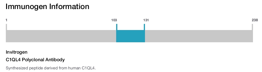 C1QL4 Polyclonal Antibody