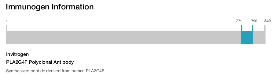 PLA2G4F Polyclonal Antibody