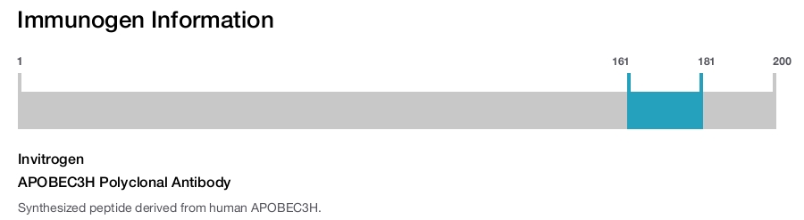 APOBEC3H Polyclonal Antibody
