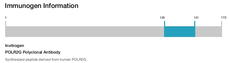 POLR2G Polyclonal Antibody