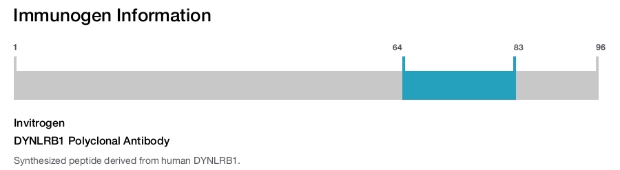 DYNLRB1 Polyclonal Antibody