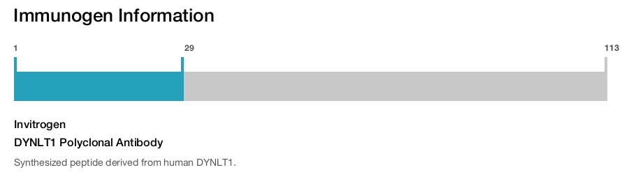 DYNLT1 Polyclonal Antibody