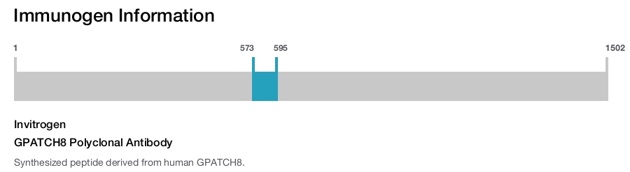 GPATCH8 Polyclonal Antibody
