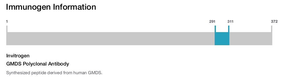 GMDS Polyclonal Antibody