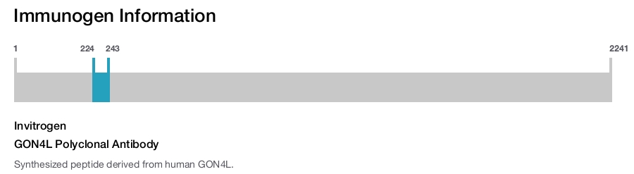 GON4L Polyclonal Antibody