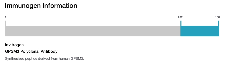 GPSM3 Polyclonal Antibody
