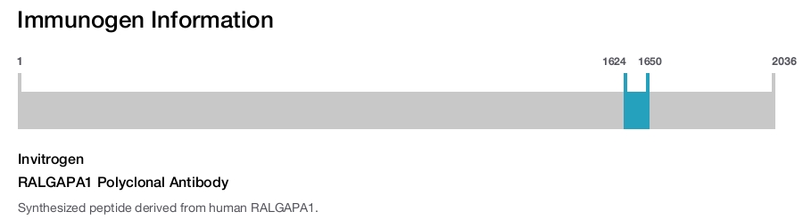 RALGAPA1 Polyclonal Antibody