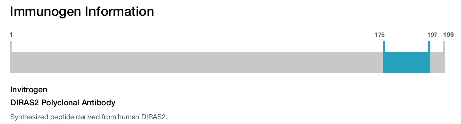 DIRAS2 Polyclonal Antibody