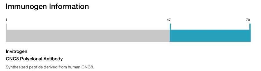 GNG8 Polyclonal Antibody