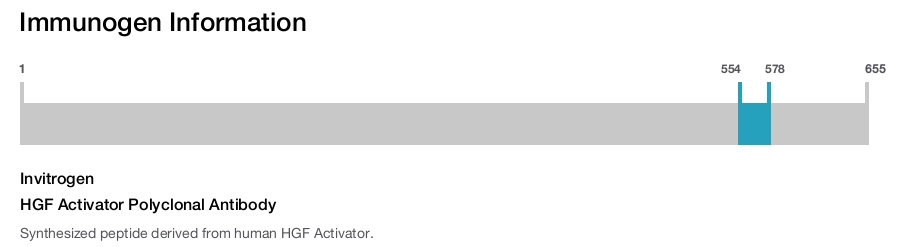 HGF Activator Polyclonal Antibody
