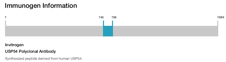 USP54 Polyclonal Antibody