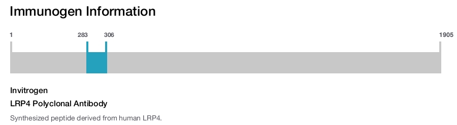 LRP4 Polyclonal Antibody