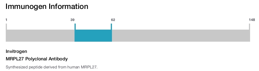 MRPL27 Polyclonal Antibody