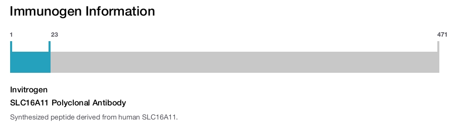 SLC16A11 Polyclonal Antibody