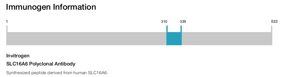 SLC16A6 Polyclonal Antibody