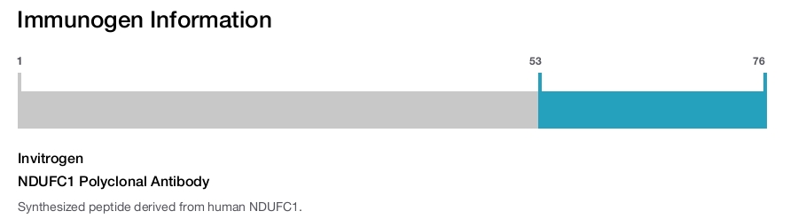 NDUFC1 Polyclonal Antibody