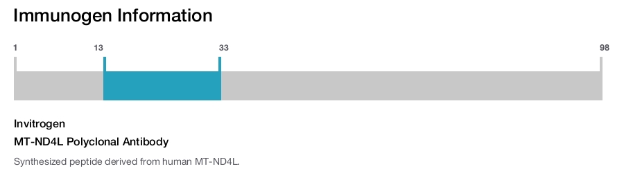 MT-ND4L Polyclonal Antibody