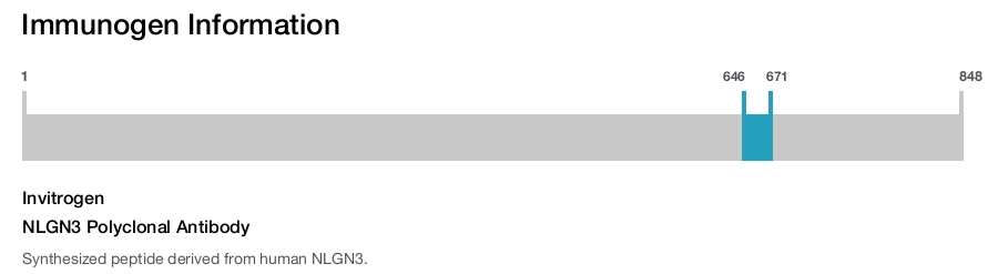 NLGN3 Polyclonal Antibody