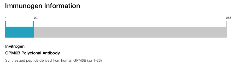 GPM6B Polyclonal Antibody